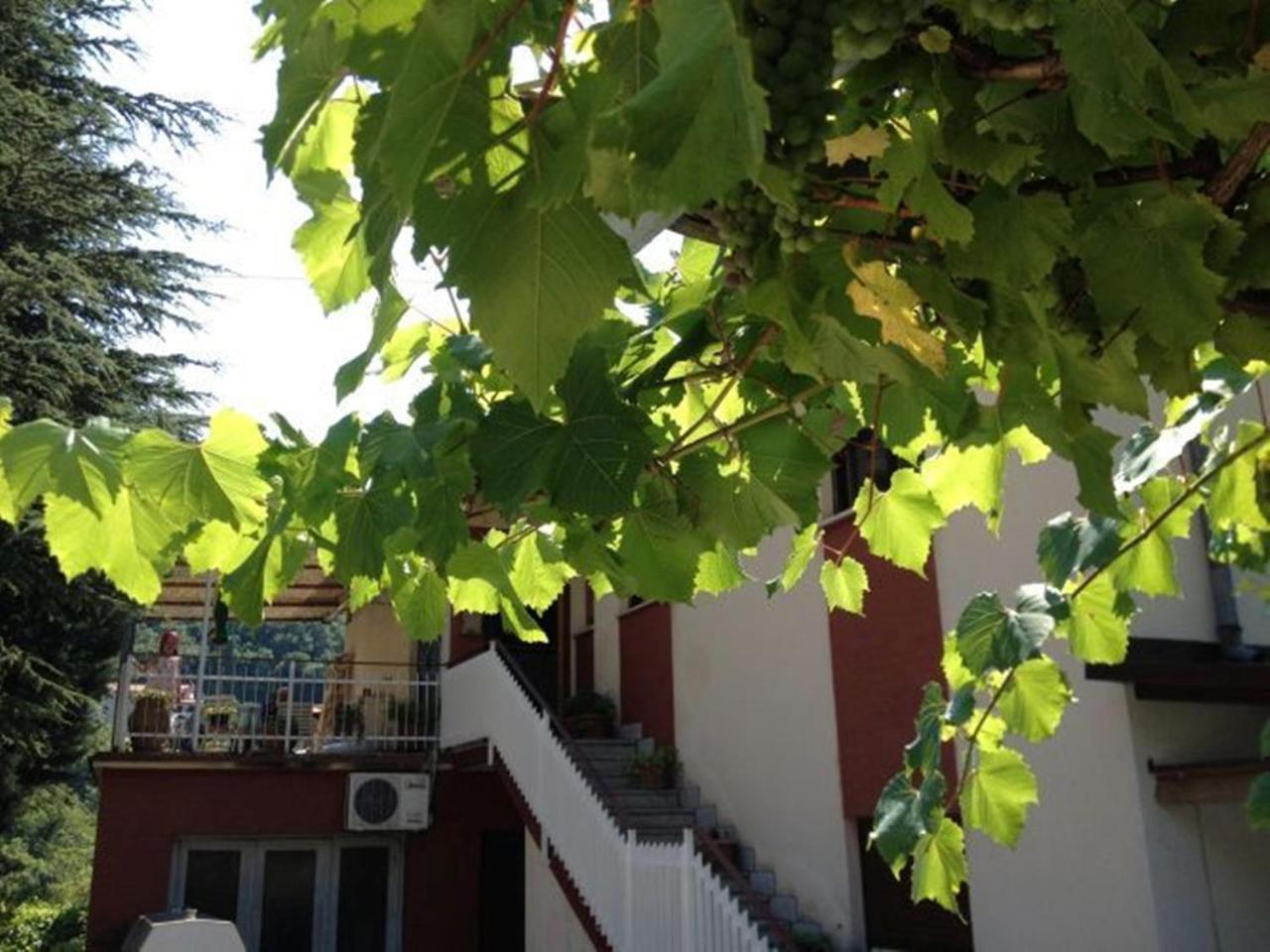 Mošćenička Draga Apartments Lorinda מראה חיצוני תמונה